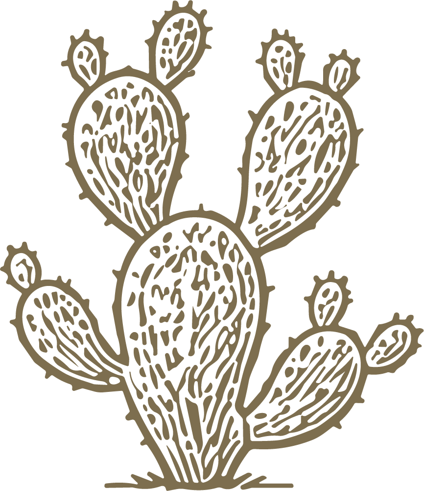 Prickly Pear Cactus SVG Desert Sketch Vector