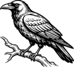 Raven On Branch SVG Bold Ink Vector