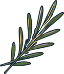 Rosemary Sprig SVG Rustic Botanical Vector