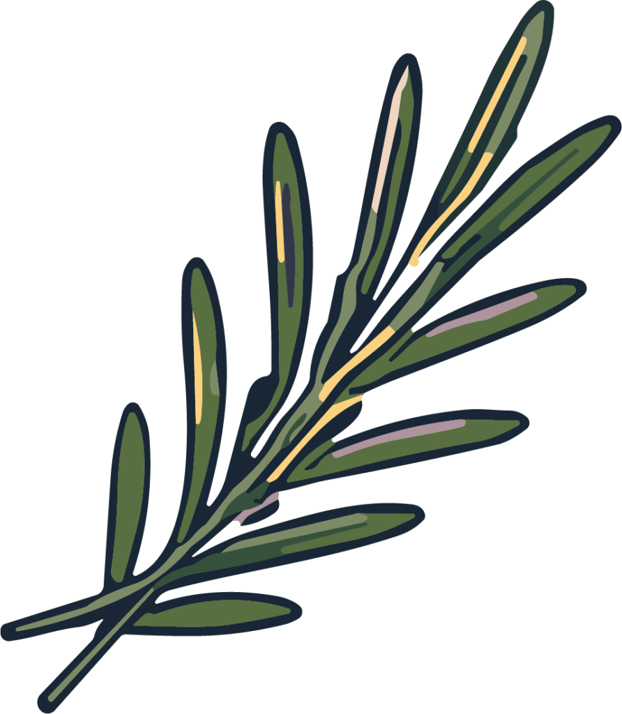 Rosemary Sprig SVG Rustic Botanical Vector