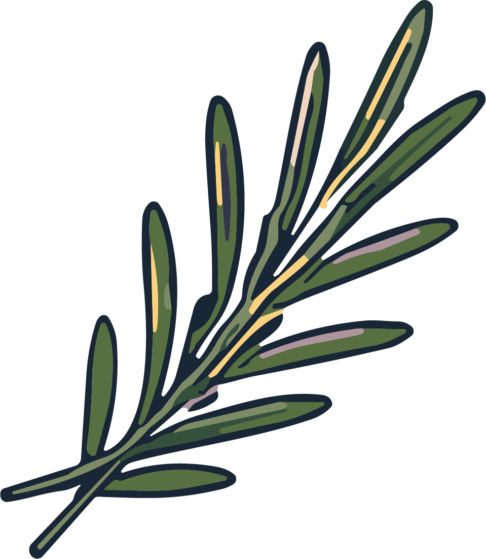 Rosemary Sprig SVG Rustic Botanical Vector - Image 1