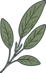 Sage Leaves Branch SVG Rustic Botanical Vector