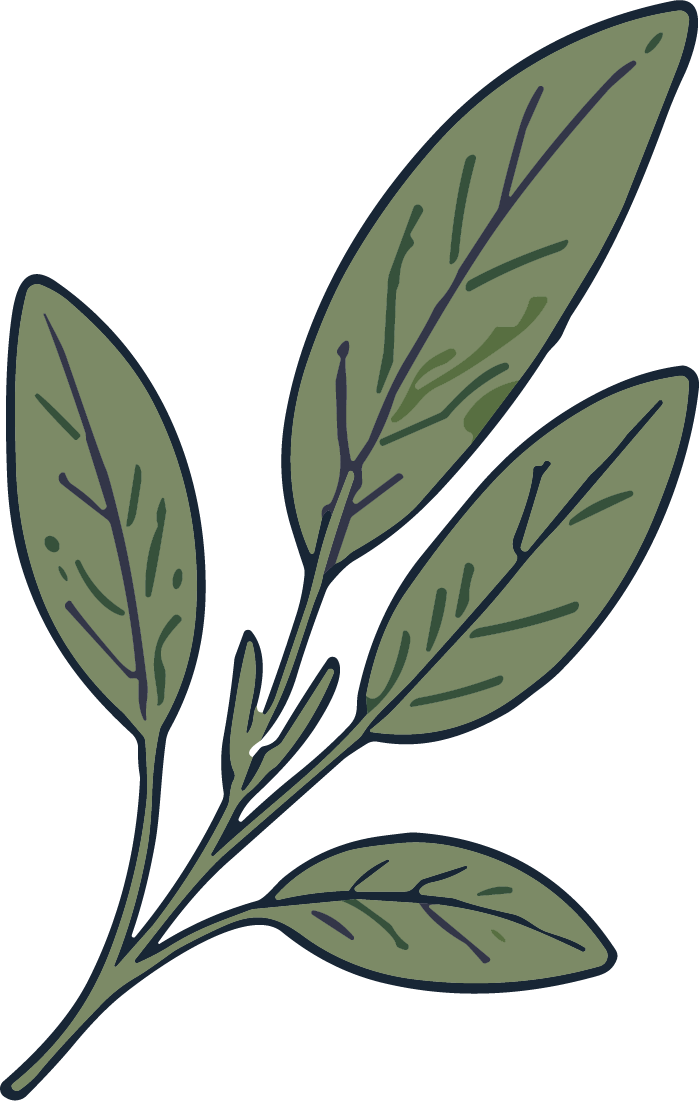 Sage Leaves Branch SVG Rustic Botanical Vector - Image 1