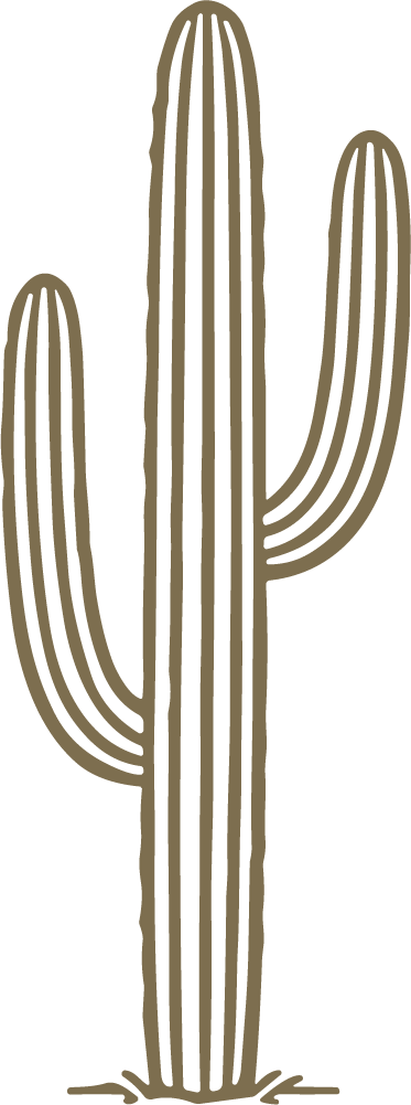 Saguaro Cactus SVG Desert Line Sketch Vector