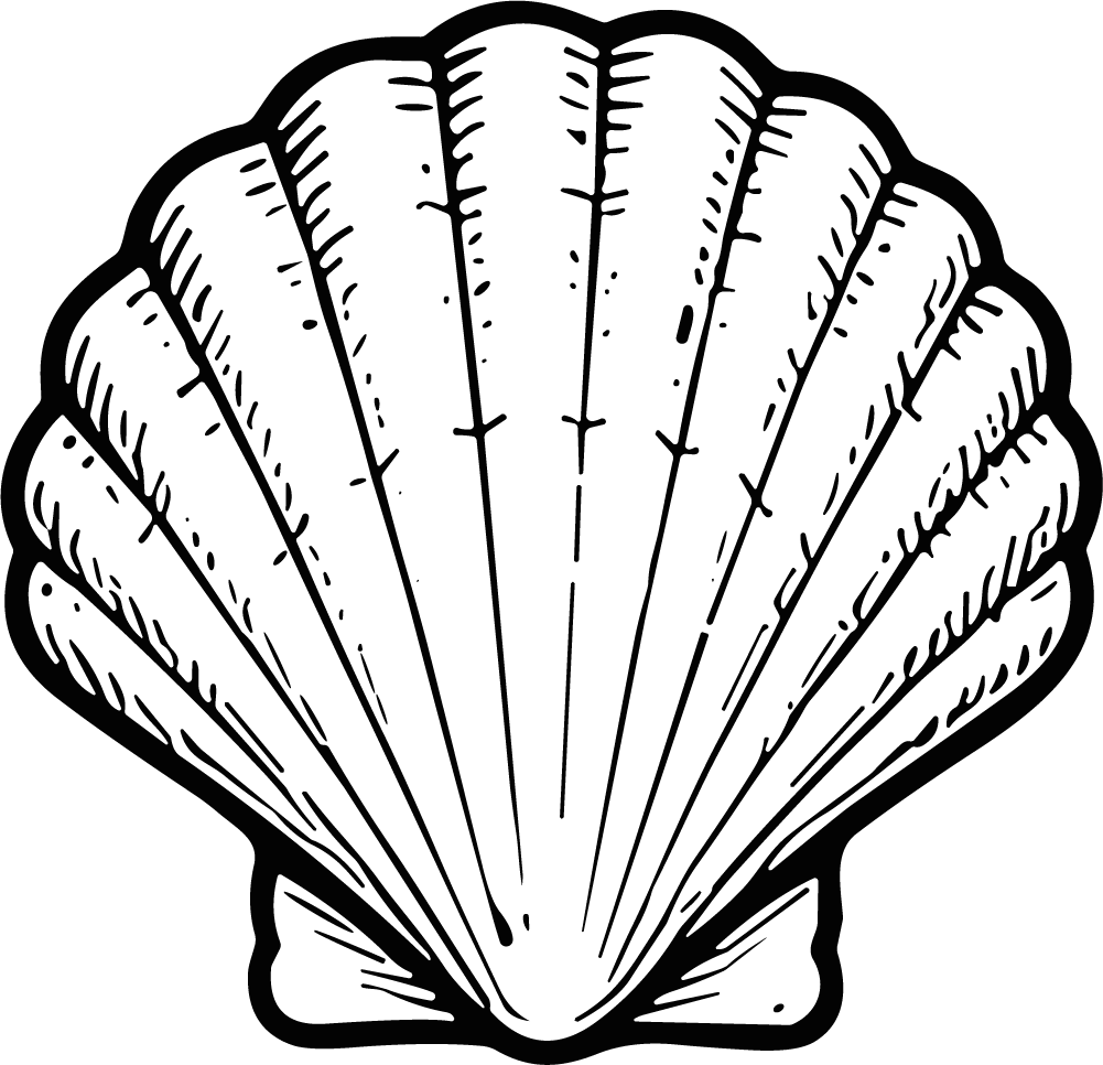 Scallop Shell SVG Bold Outline Vector