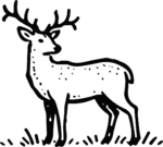 Stag With Antlers SVG Bold Black Outline Vector