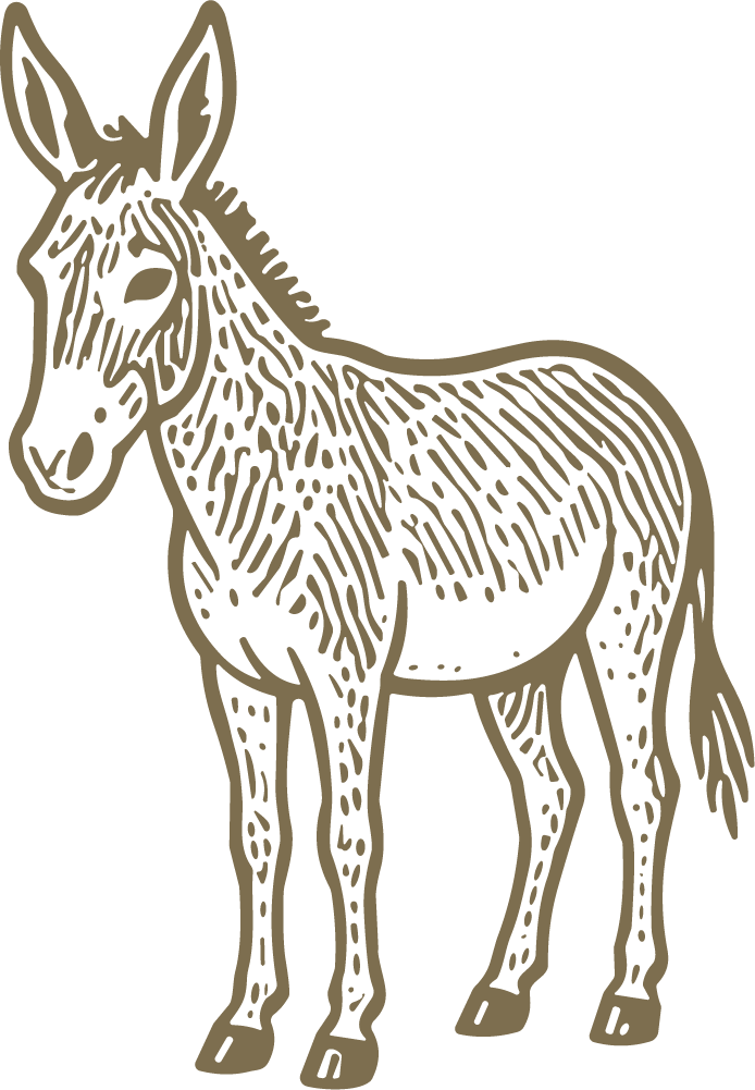 Standing Donkey SVG Vintage Engraved Vector