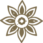 Star Flower SVG Symmetrical Bloom Vector