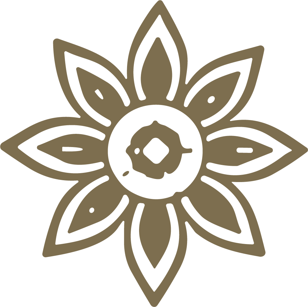Star Flower SVG Symmetrical Bloom Vector