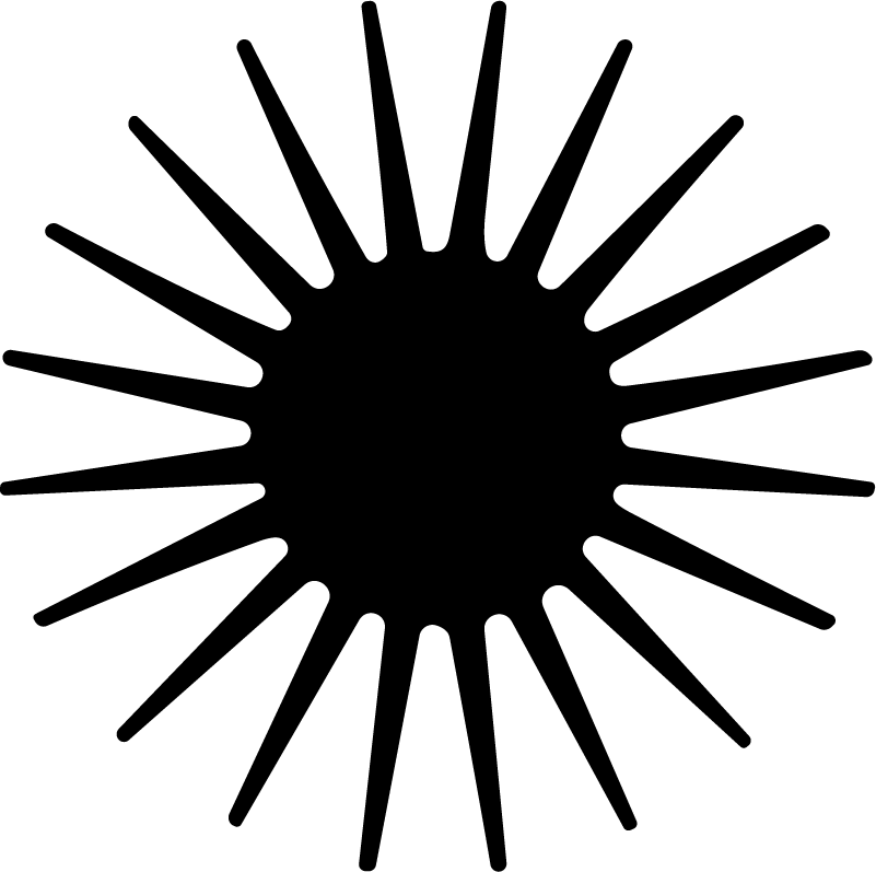 Starburst Shape SVG Bold Radial Vector