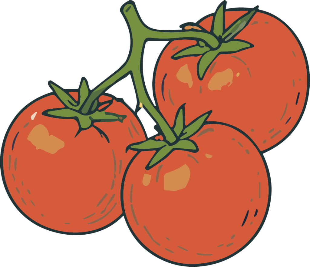 Tomatoes on Vine SVG Garden Fresh Vector