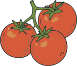Tomatoes on Vine SVG Garden Fresh Vector