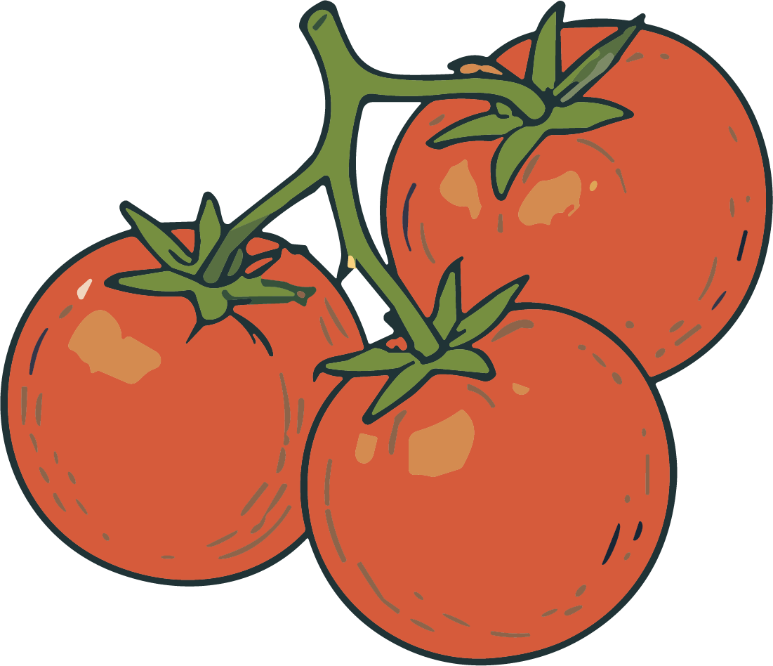Tomatoes on Vine SVG Garden Fresh Vector - Image 1