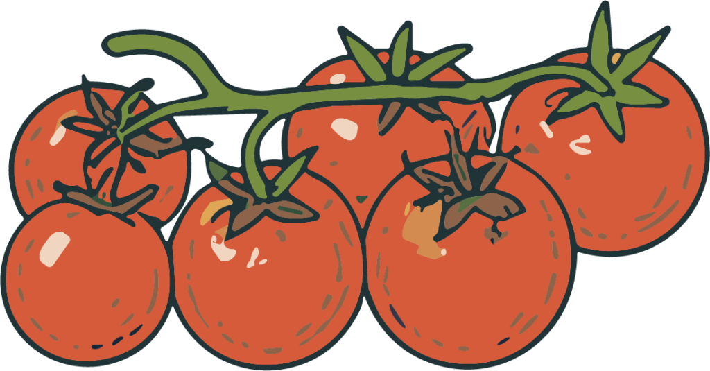 Tomatoes On Vine SVG Juicy Cluster Vector