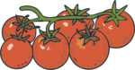 Tomatoes On Vine SVG Juicy Cluster Vector