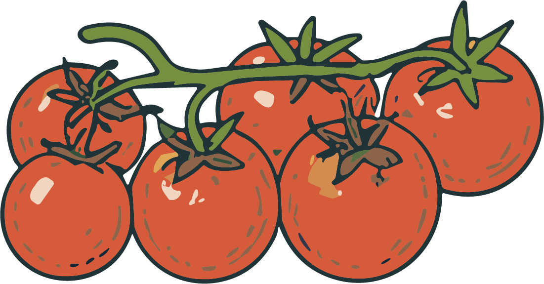 Tomatoes On Vine SVG Juicy Cluster Vector - Image 1