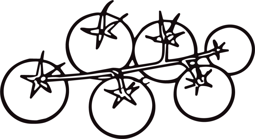 Tomatoes On Vine SVG Bold Outline Vector