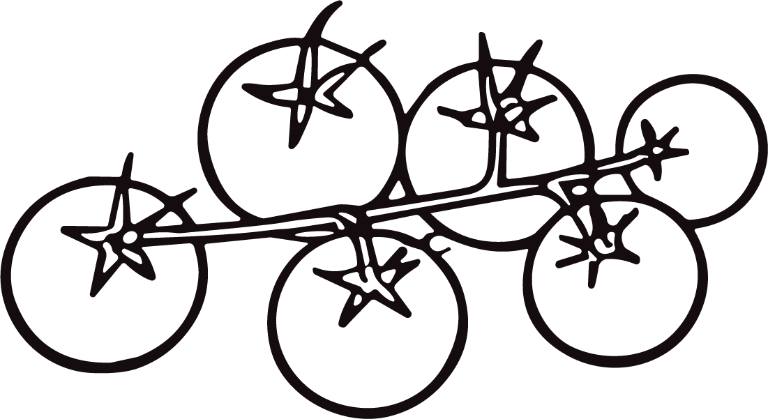 Tomatoes On Vine SVG Bold Outline Vector - Image 1
