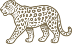 Walking Leopard SVG Spotted Outline Vector