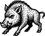 Wild Boar SVG Fierce Woodcut Vector