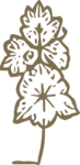 Wildflower Sketch SVG Delicate Botanical Vector