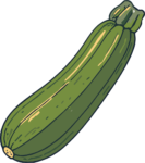 Zucchini SVG Fresh Garden Vector