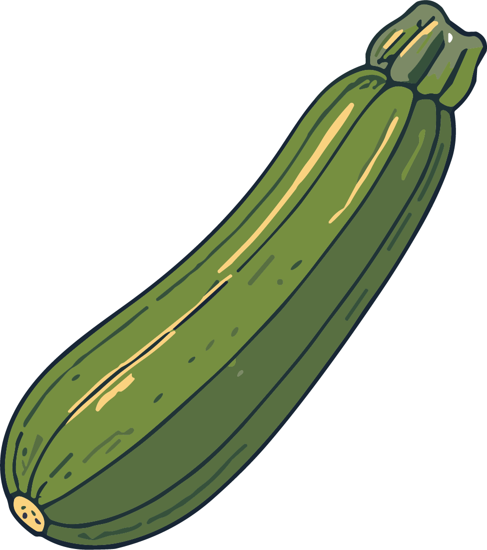 Zucchini SVG Fresh Garden Vector - Image 1